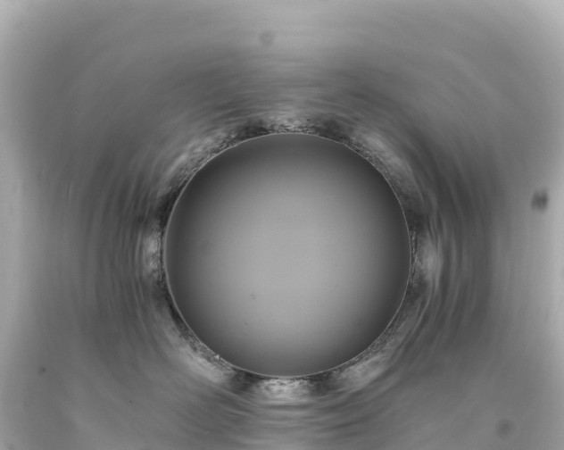 X0000094220526200711021142