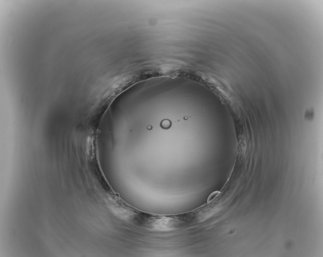 X0000094220527200711021142