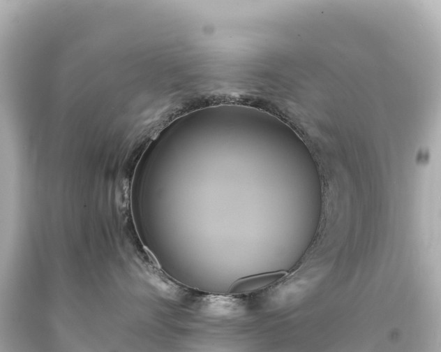 X0000094220528200711021142