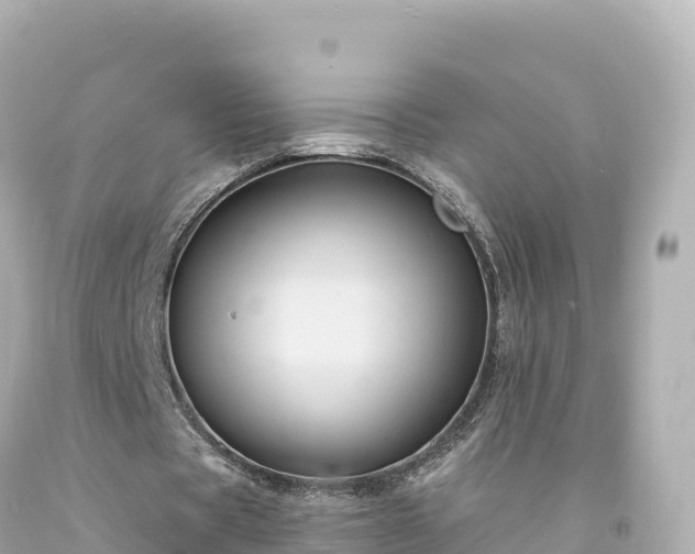 X0000094220529200711021141