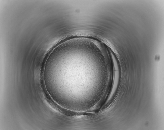 X0000094220530200711021141