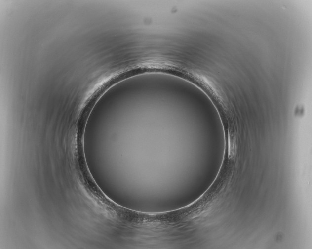 X0000094220531200711021141