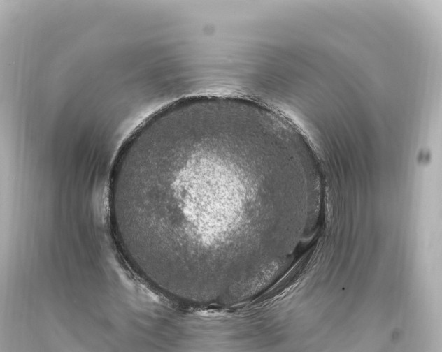 X0000094220532200711021141