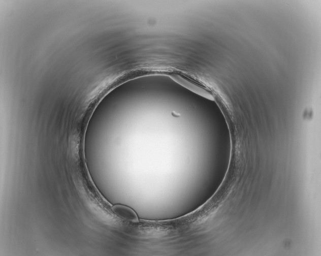 X0000094220533200711021141