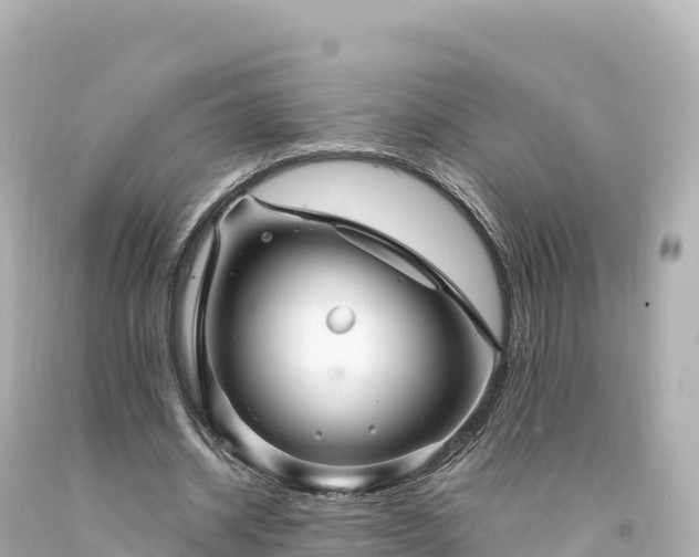 X0000094220534200711021141