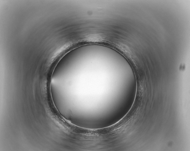 X0000094220535200711021141