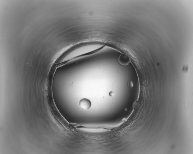 X0000094220536200711021141