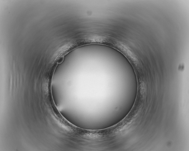 X0000094220537200711021141