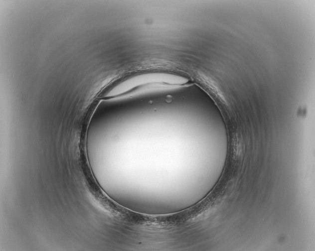 X0000094220538200711021141