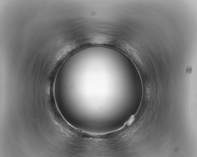 X0000094220539200711021141