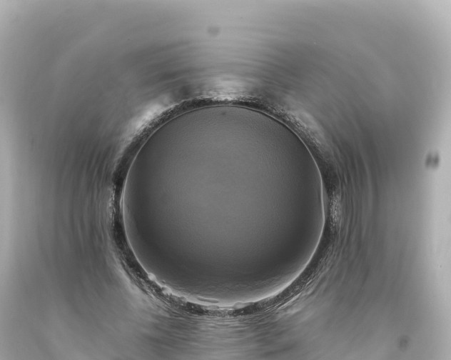 X0000094220540200711021141