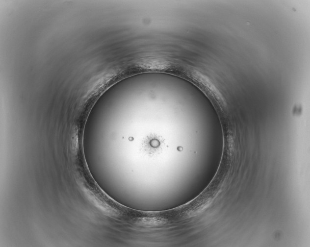 X0000094220541200711021141