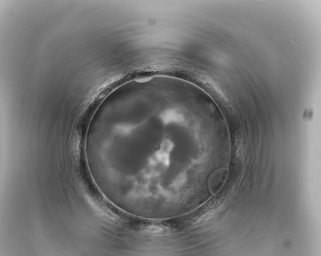 X0000094220542200711021141