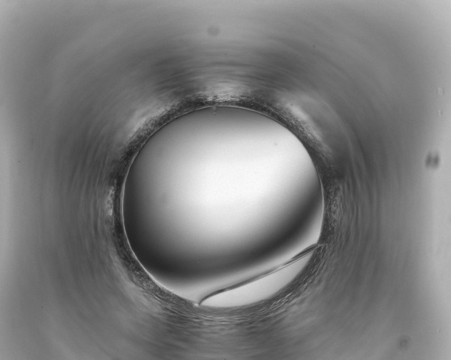 X0000094220543200711021141