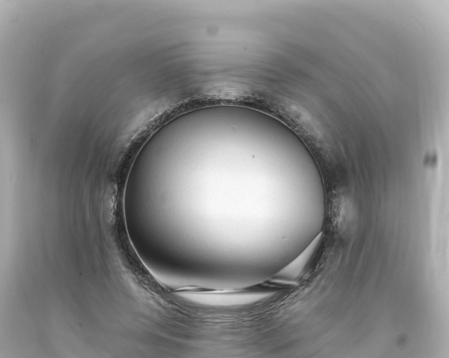 X0000094220544200711021141