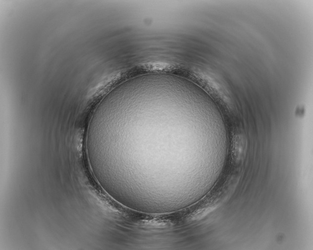 X0000094220545200711021141