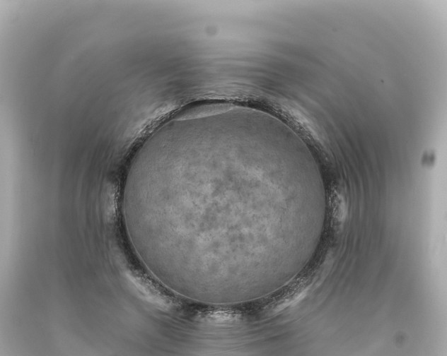 X0000094220546200711021141