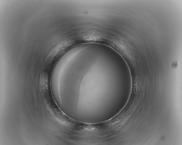 X0000094220547200711021141