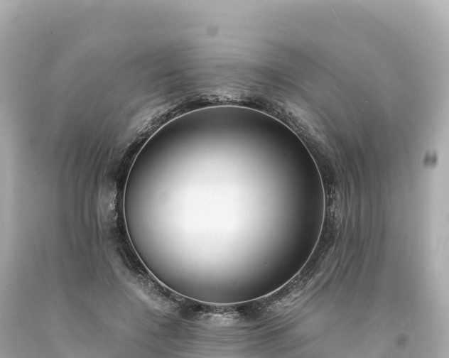 X0000094220548200711021142