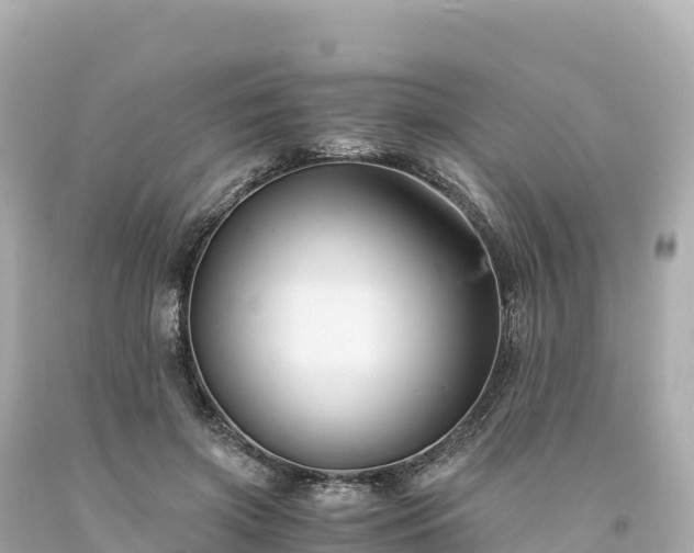 X0000094220549200711021142