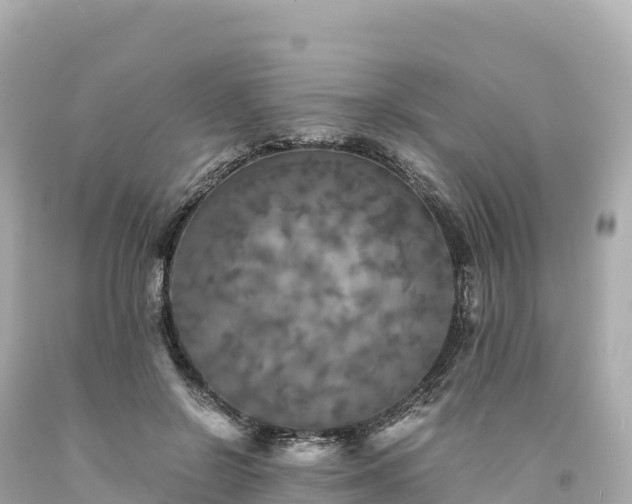 X0000094220550200711021142