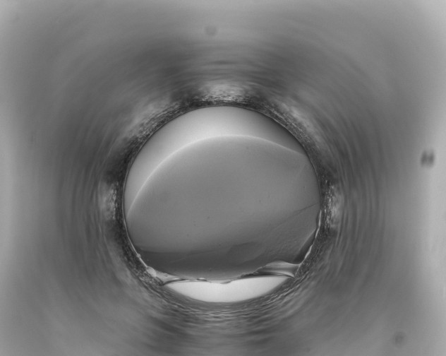 X0000094220551200711021142