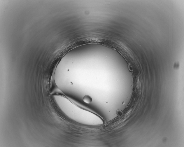 X0000094220552200711021142