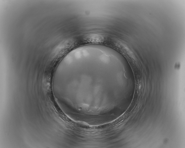 X0000094220553200711021142