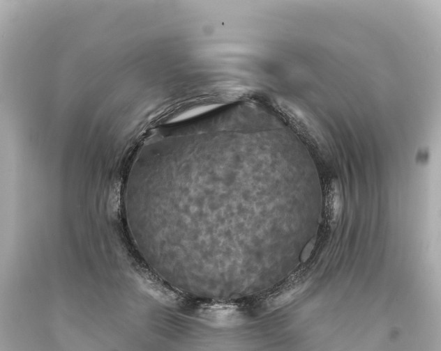 X0000094220554200711021142