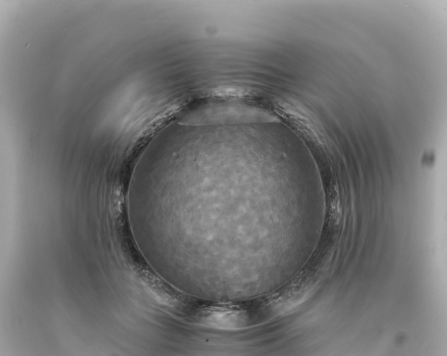 X0000094220555200711021142