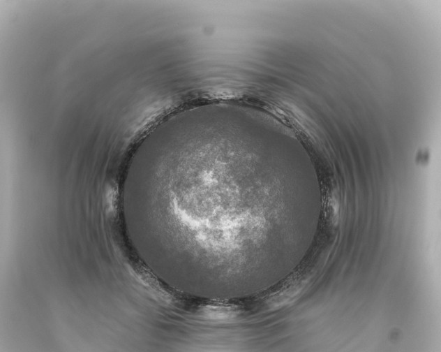 X0000094220556200711021142