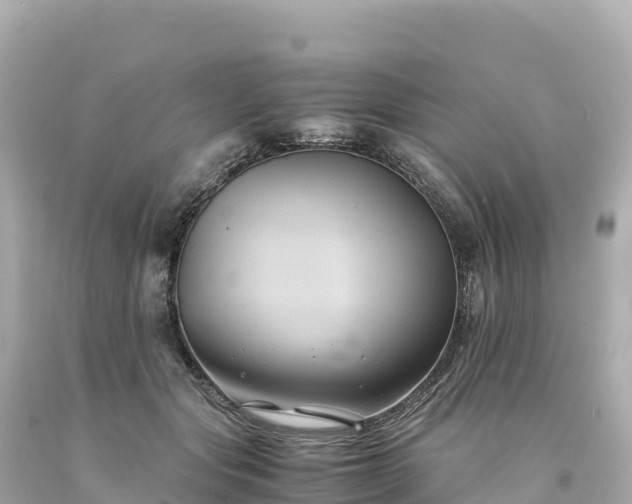 X0000094220557200711021142