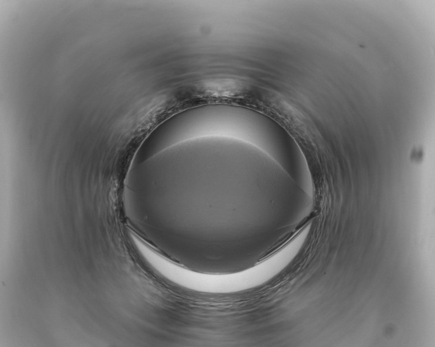 X0000094220559200711021142