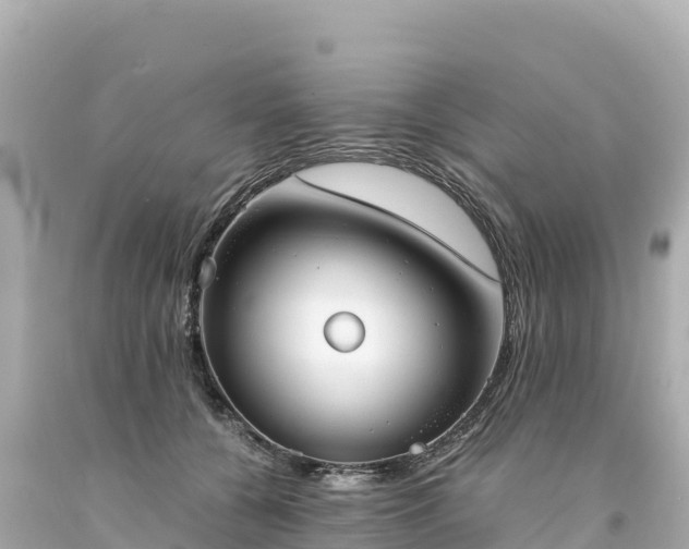 X0000094220560200711021142