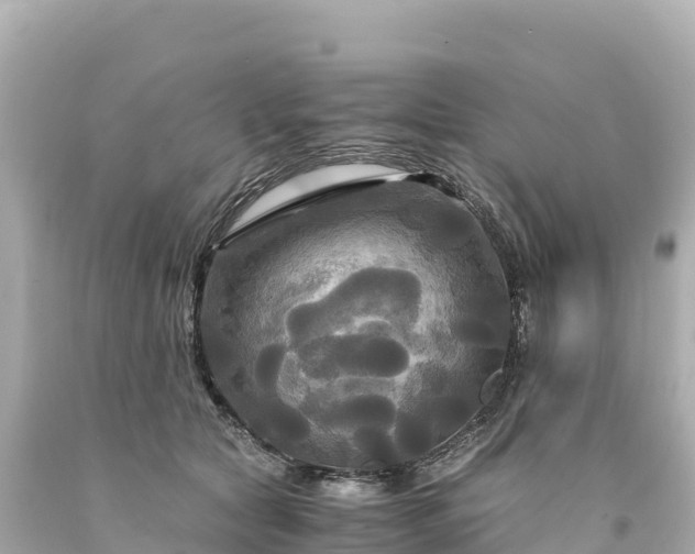 X0000094220561200711021142