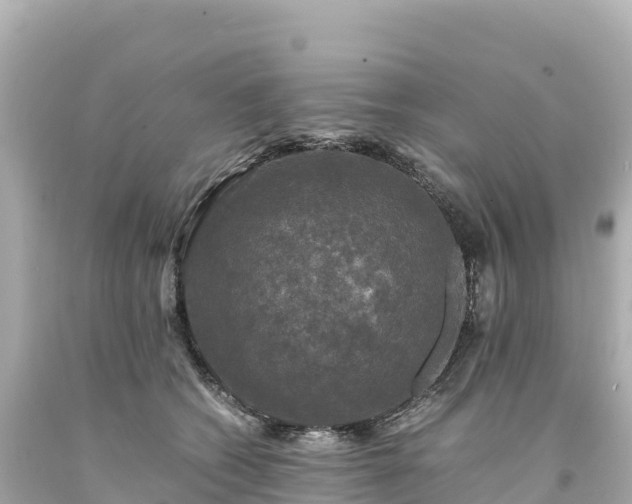 X0000094220562200711021142