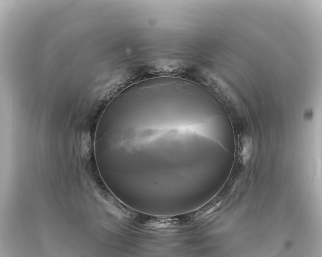 X0000094220563200711021142