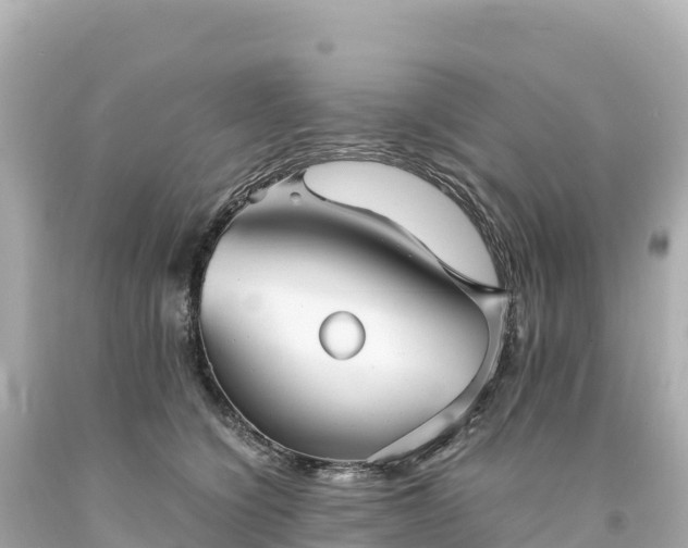 X0000094220564200711021142