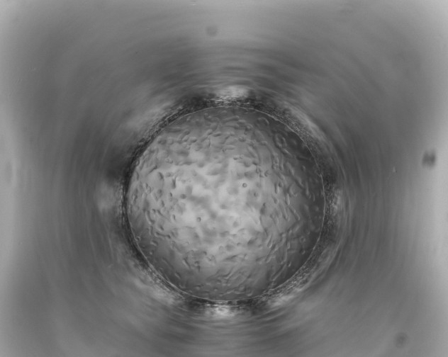 X0000094220565200711021142