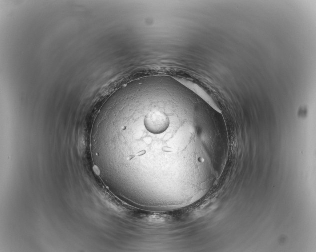 X0000094220566200711021142