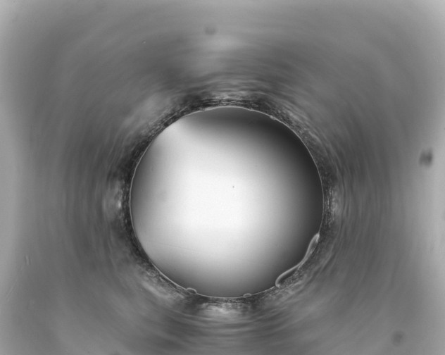 X0000094220567200711021142