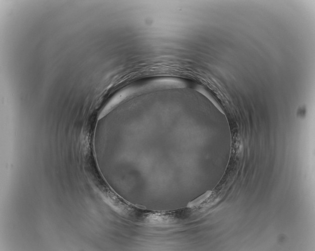 X0000094220568200711021142