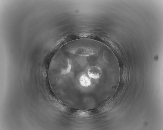 X0000094220569200711021142