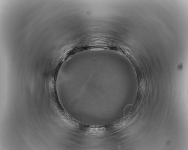 X0000094220571200711021142