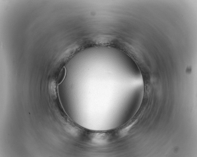 X0000094220575200711021142