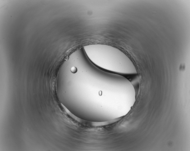 X0000094220576200711021142