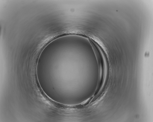 X0000094220577200711021141