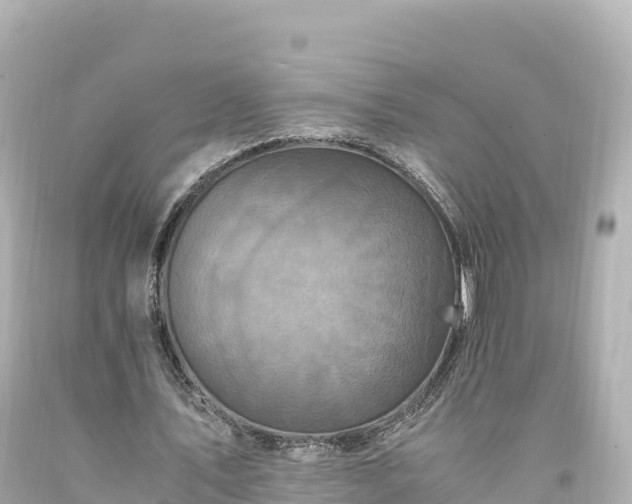 X0000094220579200711021141