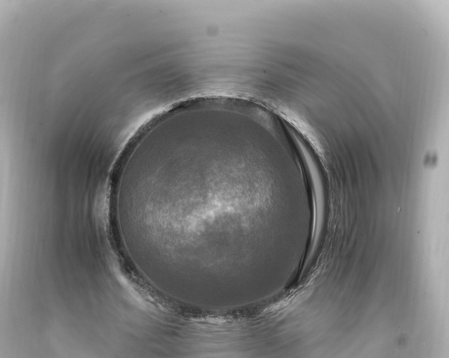 X0000094220580200711021141