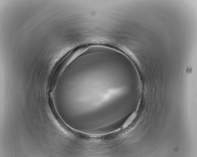 X0000094220581200711021141